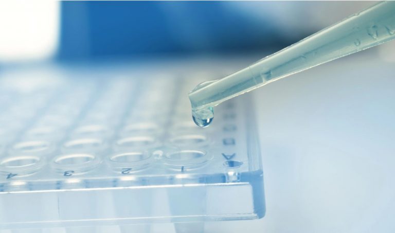 Various types of micropipettes displayed side by side, illustrating the differences in design and functionality